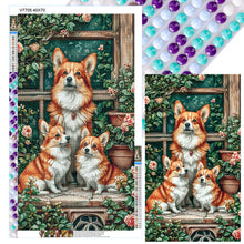 Load image into Gallery viewer, Diamond Painting - Full Round - Three corgis (40*70CM)
