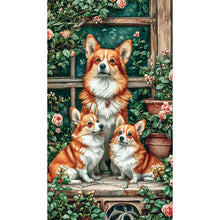 Load image into Gallery viewer, Diamond Painting - Full Round - Three corgis (40*70CM)
