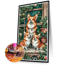 Load image into Gallery viewer, Diamond Painting - Full Round - Three corgis (40*70CM)
