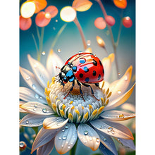 Load image into Gallery viewer, Diamond Painting - Full Round - Seven-spotted Ladybug (30*40CM)
