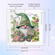 Load image into Gallery viewer, Diamond Painting - Partial Special Shaped - Flower Gnome (30*30CM)
