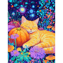 Load image into Gallery viewer, Diamond Painting - Full Round - Colorful cat (30*40CM)
