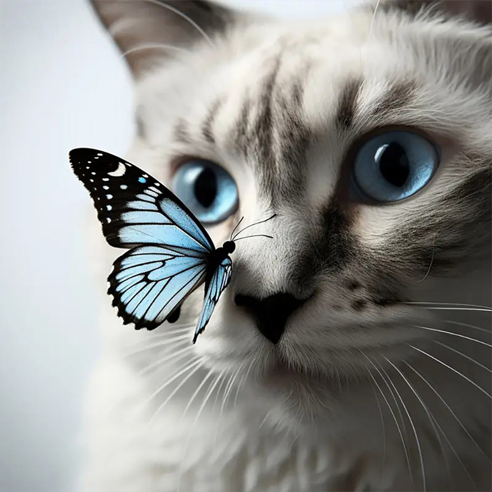 Diamond Painting - Full Round - Butterfly cat (30*30CM)
