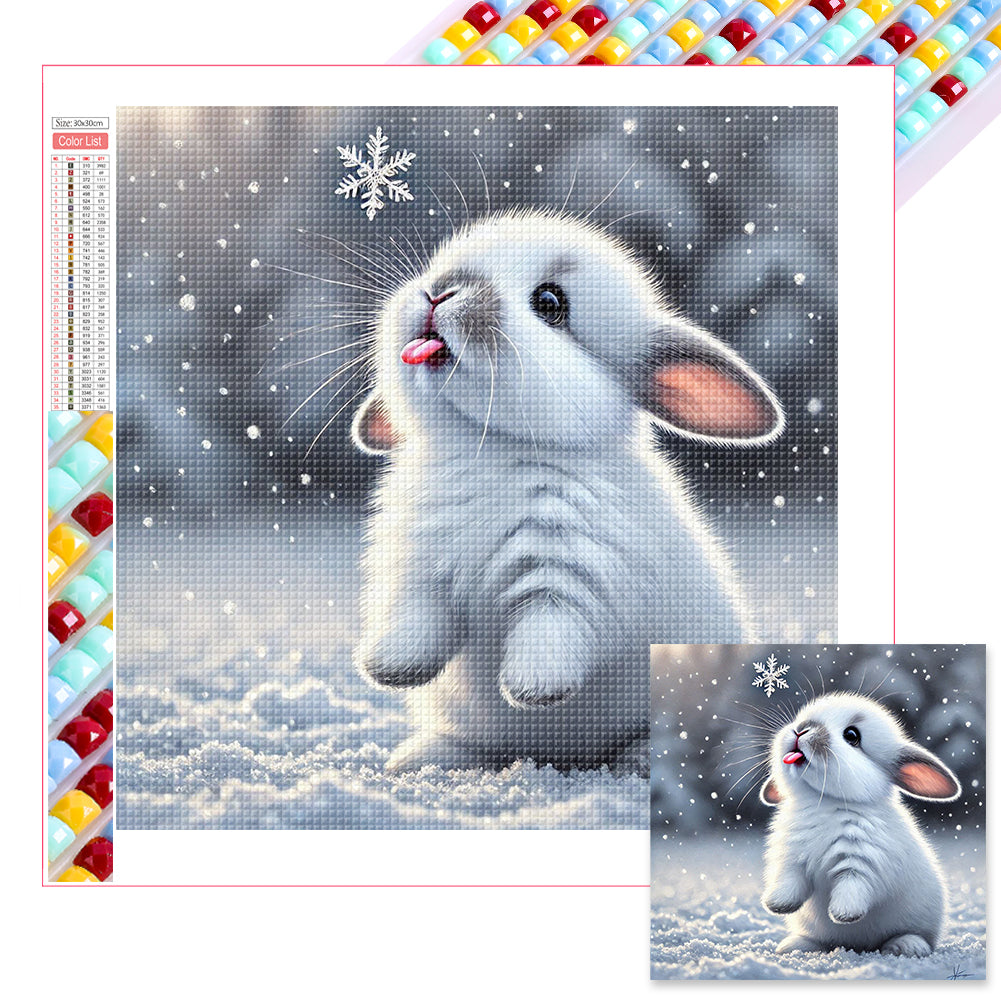 Diamond Painting - Full Square - Feel the Taste of Snow (30*30CM)