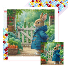 Load image into Gallery viewer, Diamond Painting - Full Square - Peter Rabbit&#39;s manor (40*40CM)
