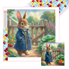 Load image into Gallery viewer, Diamond Painting - Full Square - Peter Rabbit&#39;s manor (40*40CM)
