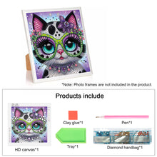 Load image into Gallery viewer, Diamond Painting - Partial Special Shaped - Cat (30*30CM)
