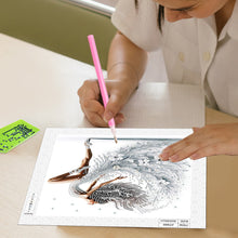 Load image into Gallery viewer, Diamond Painting - Partial Special Shaped - Beautiful Skirt Woman (30*30CM)
