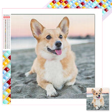 Load image into Gallery viewer, Diamond Painting - Full Square - Corgi (45*45CM)
