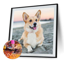 Load image into Gallery viewer, Diamond Painting - Full Square - Corgi (45*45CM)
