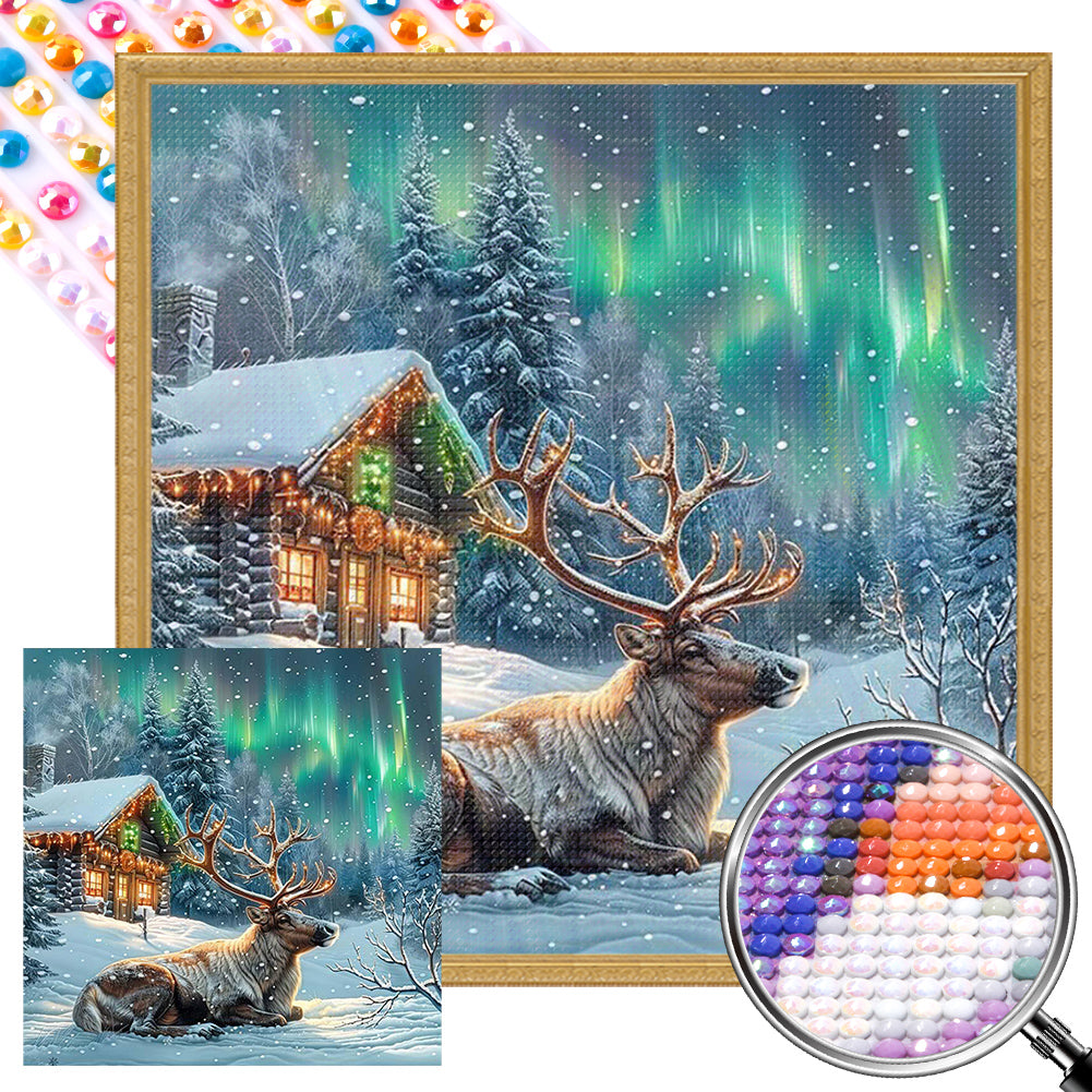 AB Diamond Painting - Full Round - Moose In Polar Night (40*40CM)