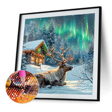 Load image into Gallery viewer, AB Diamond Painting - Full Round - Moose In Polar Night (40*40CM)
