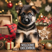 Load image into Gallery viewer, Diamond Painting - Full Square - Cute Animal December (40*40CM)
