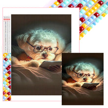 Load image into Gallery viewer, Diamond Painting - Full Square - Puppy Reading (40*50CM)

