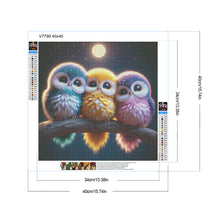 Load image into Gallery viewer, Diamond Painting - Full Round - Three Owls (40*40CM)
