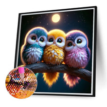 Load image into Gallery viewer, Diamond Painting - Full Round - Three Owls (40*40CM)
