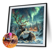 Load image into Gallery viewer, AB Diamond Painting - Full Round - Moose In The Polar Night (40*40CM)
