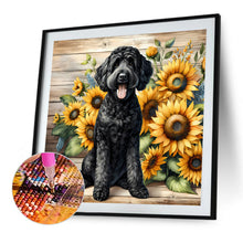 Load image into Gallery viewer, Diamond Painting - Full Round - Black Teddy (40*40CM)
