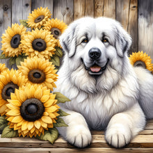 Load image into Gallery viewer, Diamond Painting - Full Round - Chow Chow (40*40CM)
