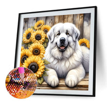 Load image into Gallery viewer, Diamond Painting - Full Round - Chow Chow (40*40CM)
