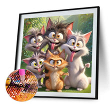 Load image into Gallery viewer, Diamond Painting - Full Round - Funny Cat (40*40CM)
