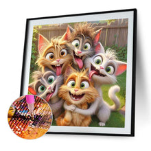 Load image into Gallery viewer, Diamond Painting - Full Round - Funny Cat (40*40CM)
