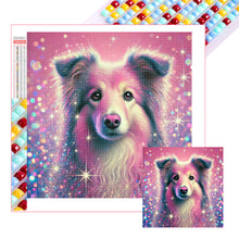 Load image into Gallery viewer, Diamond Painting - Full Square - Shining Diamond Shetland Sheepdog (40*40CM)
