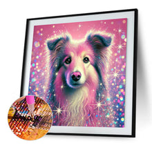 Load image into Gallery viewer, Diamond Painting - Full Square - Shining Diamond Shetland Sheepdog (40*40CM)
