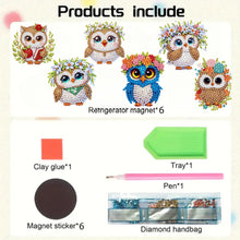 Load image into Gallery viewer, 6Pcs Acrylic Cute Pattern Diamond Art Refrigerator Magnets Sticker for Beginners
