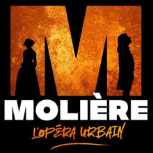 Load image into Gallery viewer, Diamond Painting - Full Round - Moliere The Musical (40*40CM)
