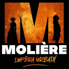 Load image into Gallery viewer, Diamond Painting - Full Round - Moliere The Musical (40*40CM)
