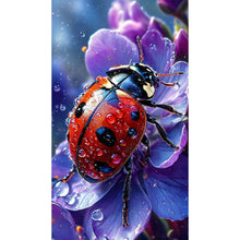 Load image into Gallery viewer, Diamond Painting - Full Round - Ladybug (40*70CM)
