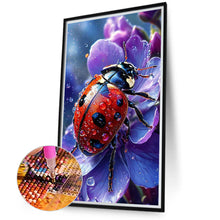 Load image into Gallery viewer, Diamond Painting - Full Round - Ladybug (40*70CM)
