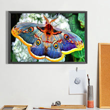 Load image into Gallery viewer, Diamond Painting - Full Round - Moths (50*30CM)
