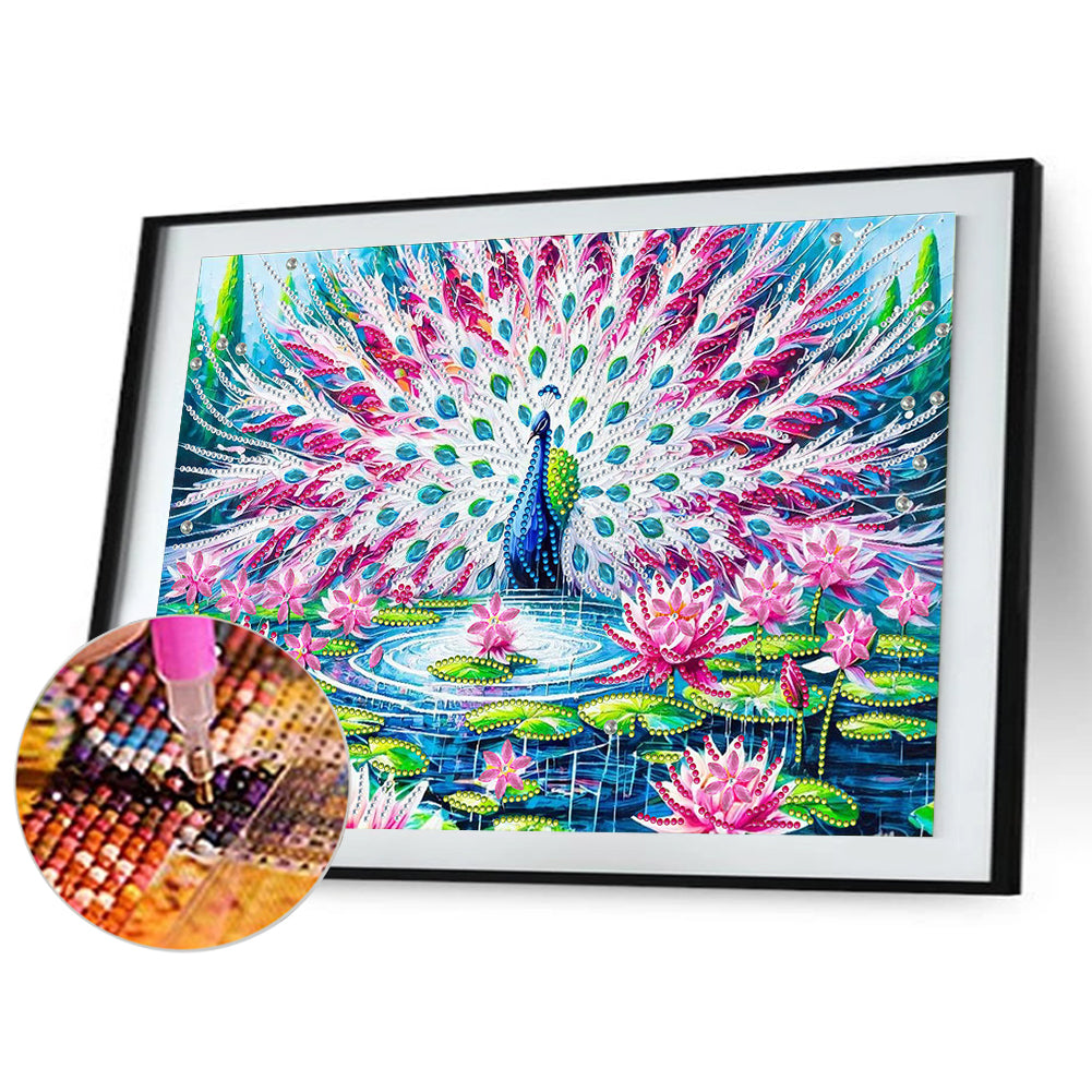 Diamond Painting - Partial Special Shaped - Peacock In Lotus Pond (40*30CM)