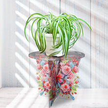 Load image into Gallery viewer, Acrylic Butterfly Round Flower Pot Riser Potted Plant Holder Rack for Home Decor
