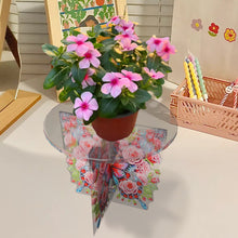 Load image into Gallery viewer, Acrylic Butterfly Round Flower Pot Riser Potted Plant Holder Rack for Home Decor
