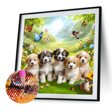 Load image into Gallery viewer, Diamond Painting - Full Round - Dogs (40*40CM)
