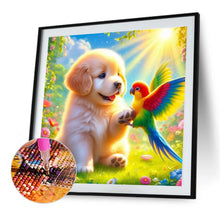 Load image into Gallery viewer, Diamond Painting - Full Round - Dogs And Parrots (40*40CM)

