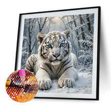 Load image into Gallery viewer, Diamond Painting - Full Round - White Tiger (40*40CM)
