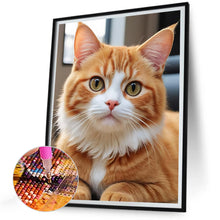 Load image into Gallery viewer, Diamond Painting - Full Round - Orange Cat (30*40CM)
