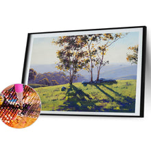 Load image into Gallery viewer, Diamond Painting - Full Round - Tree (30*40CM)
