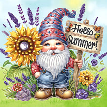 Load image into Gallery viewer, Diamond Painting - Partial Special Shaped - Summer Gnome (30*30CM)
