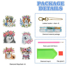 Load image into Gallery viewer, 6Pcs Double Sided Special Shaped Beautiful Pattern Full Drill Keyring for Adults
