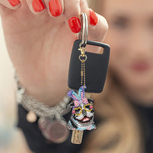 Load image into Gallery viewer, 6Pcs Double Sided Special Shaped Beautiful Pattern Full Drill Keyring for Adults
