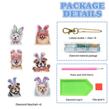 Load image into Gallery viewer, 6Pcs Double Sided Special Shaped Beautiful Pattern Full Drill Keyring for Adults
