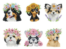 Load image into Gallery viewer, 6 Pieces/set Animal Cake DIY Diamond Painting Magnets Refrigerator Fridge Magnet
