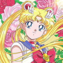 Load image into Gallery viewer, Diamond Painting - Full Round - Sailor Moon¡¤Usagi Tsukino (30*30CM)
