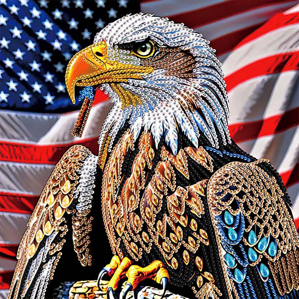 Diamond Painting - Partial Special Shaped - Independence Day Eagle (30*30CM)