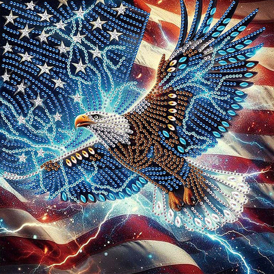 Diamond Painting - Partial Special Shaped - Eagle On Independence Day (30*30CM)